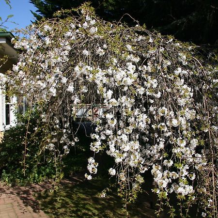 Carawatha Gardens Villa Bright Eksteriør bilde