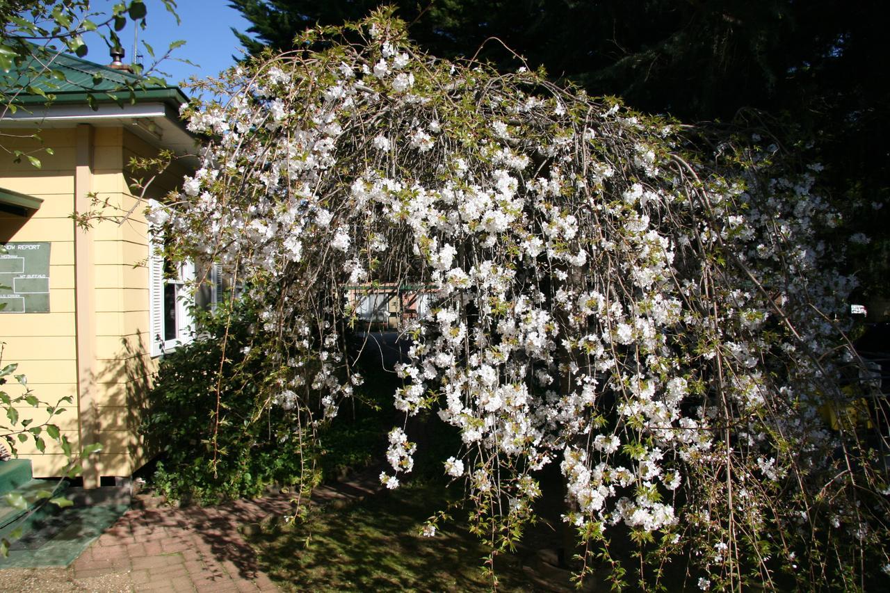 Carawatha Gardens Villa Bright Eksteriør bilde